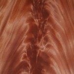 cr_mahog_803-22 Crotch Mahogany