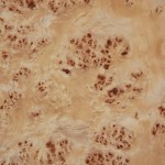 mappa_burl_1001_1-41 Mappa Burl