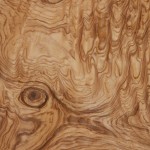 o_ash_burl_1002_15-31 Olive Ash Burl