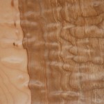 q_maple_902_1-141 Quilted Maple
