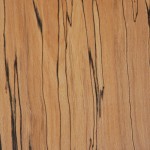 sp_beech_1101_1-711 Spalted Beech